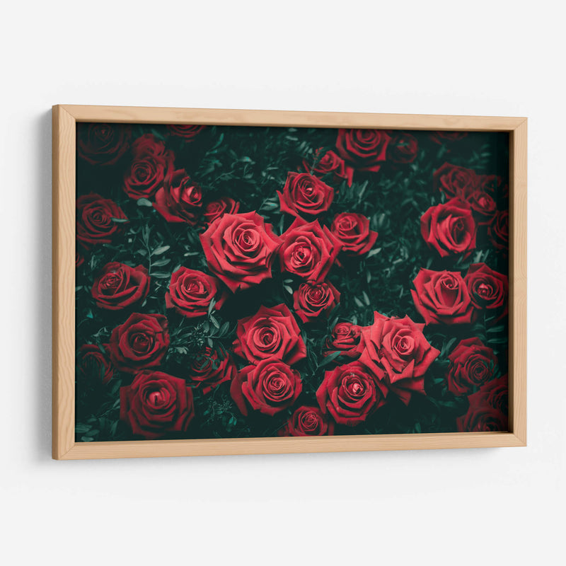 Las rosas rojas | Cuadro decorativo de Canvas Lab