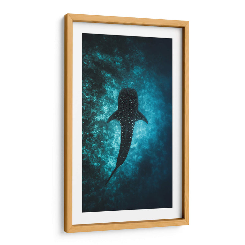 El nado del tiburón ballena | Cuadro decorativo de Canvas Lab