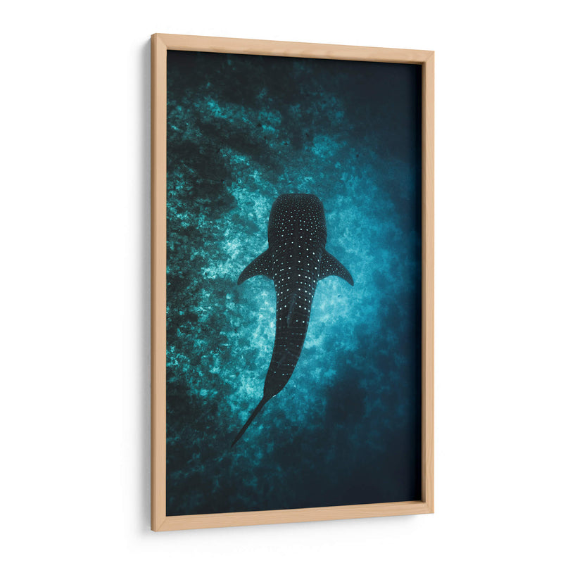 El nado del tiburón ballena | Cuadro decorativo de Canvas Lab