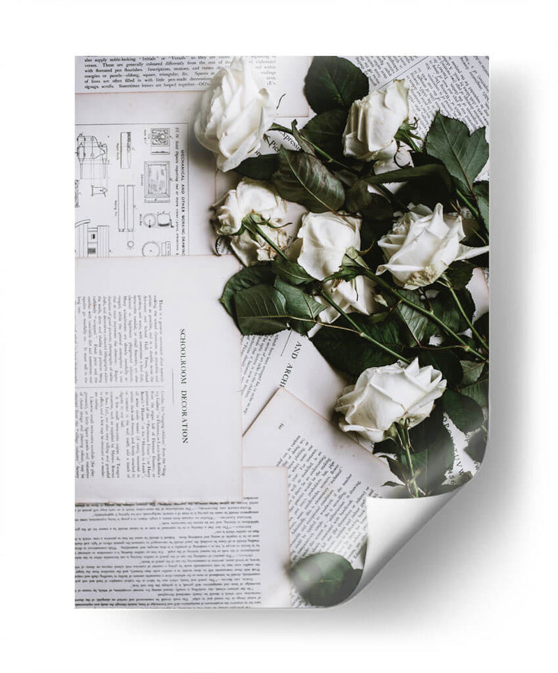 Letras y rosas blancas | Cuadro decorativo de Canvas Lab