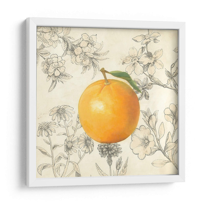 Naranja Y Botánicos - Megan Meagher | Cuadro decorativo de Canvas Lab