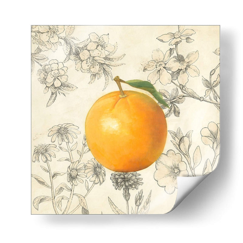 Naranja Y Botánicos - Megan Meagher | Cuadro decorativo de Canvas Lab