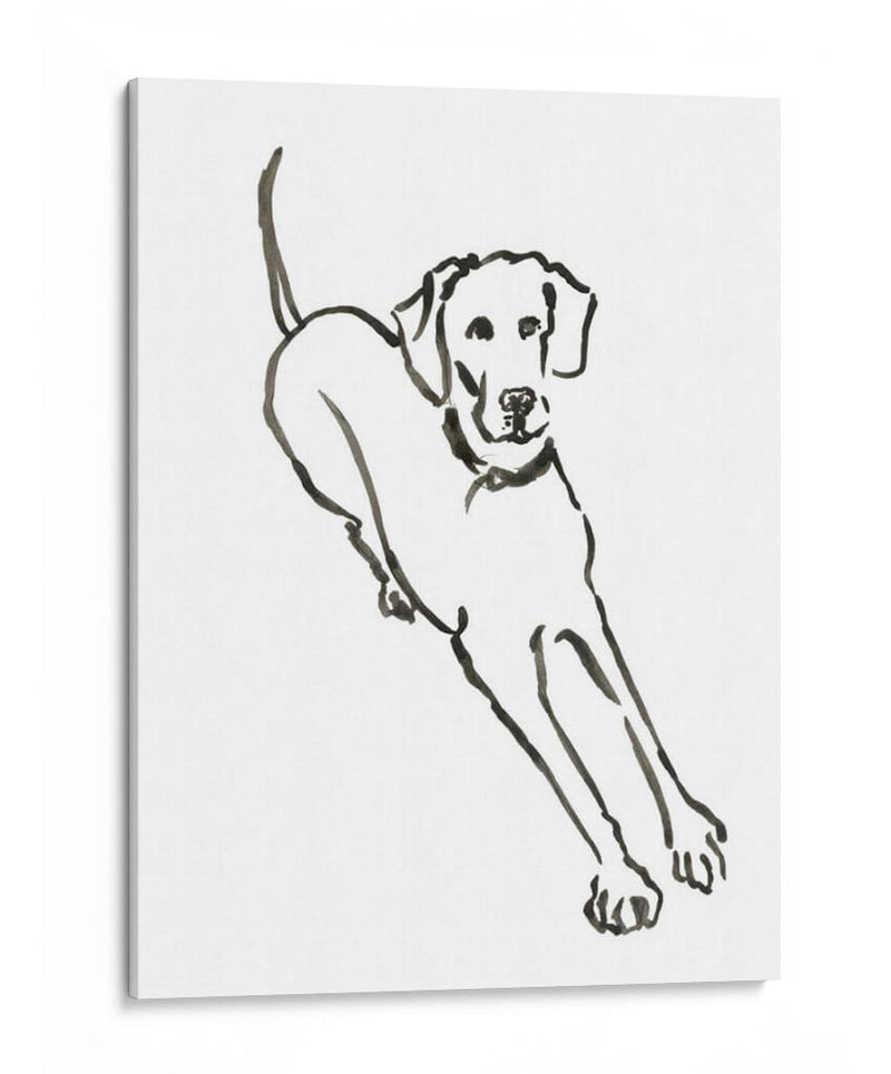 Wag: El Perro Ii - Edward A.S. Douglas | Cuadro decorativo de Canvas Lab