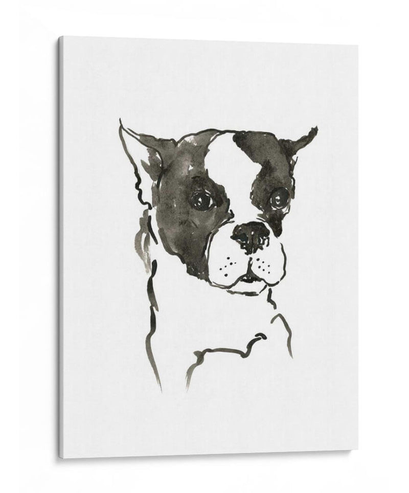 Wag: El Perro V - Edward A.S. Douglas | Cuadro decorativo de Canvas Lab