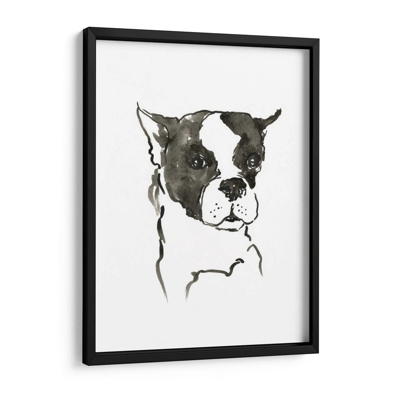 Wag: El Perro V - Edward A.S. Douglas | Cuadro decorativo de Canvas Lab