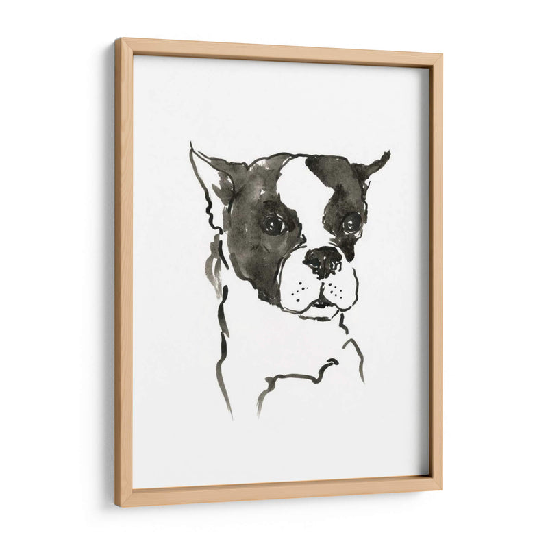 Wag: El Perro V - Edward A.S. Douglas | Cuadro decorativo de Canvas Lab