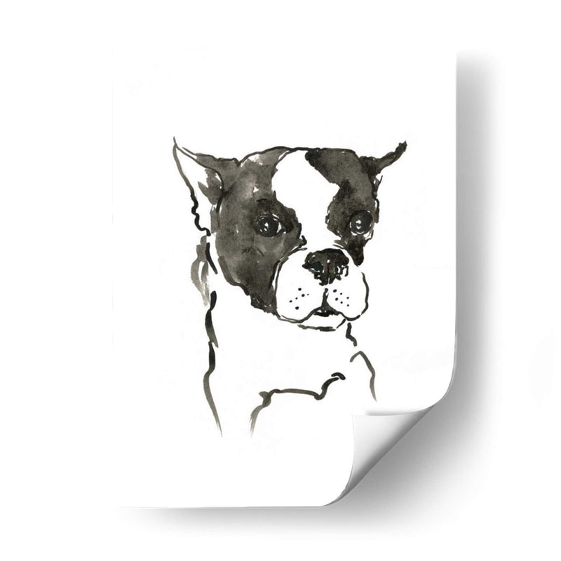 Wag: El Perro V - Edward A.S. Douglas | Cuadro decorativo de Canvas Lab