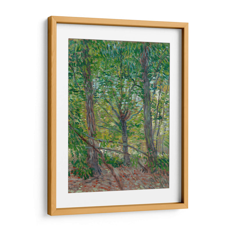 Árboles - Vincent Van Gogh | Cuadro decorativo de Canvas Lab