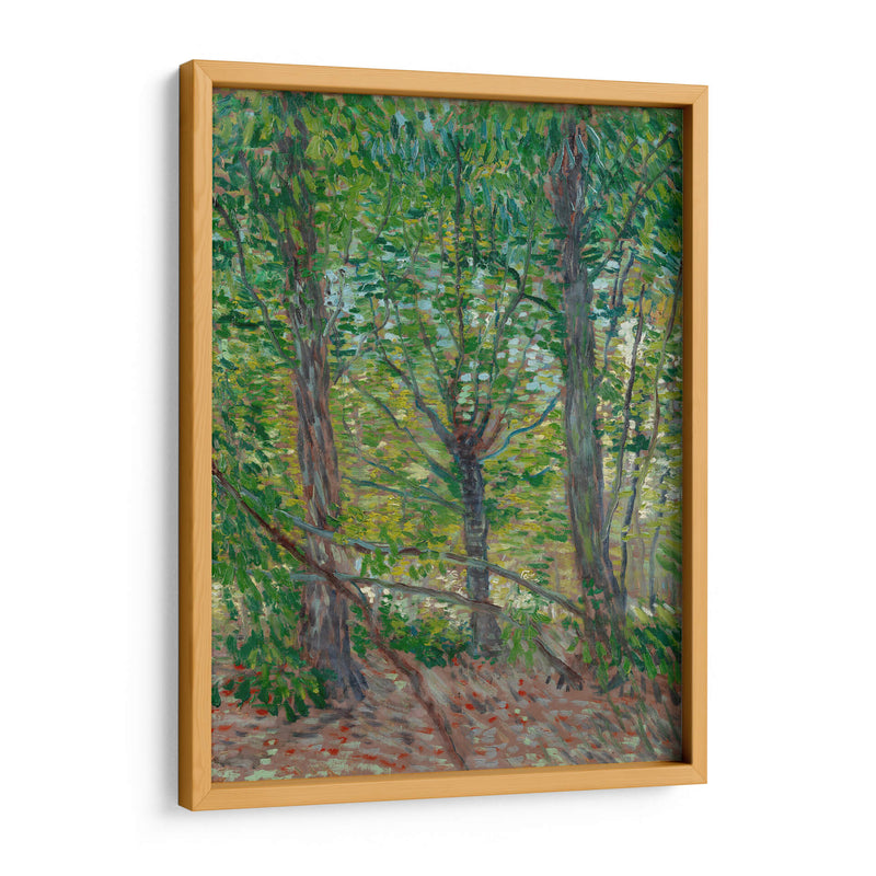 Árboles - Vincent Van Gogh | Cuadro decorativo de Canvas Lab