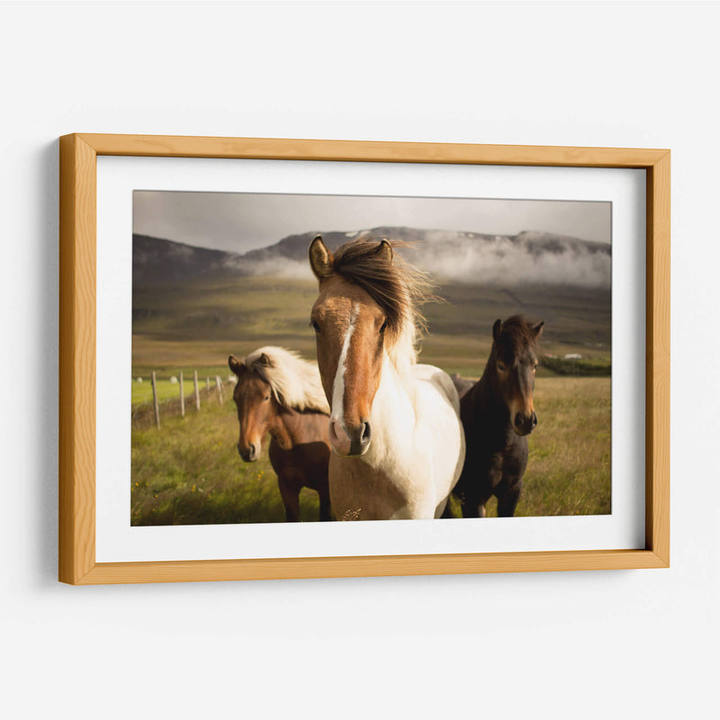 Los tres caballos | Cuadro decorativo de Canvas Lab