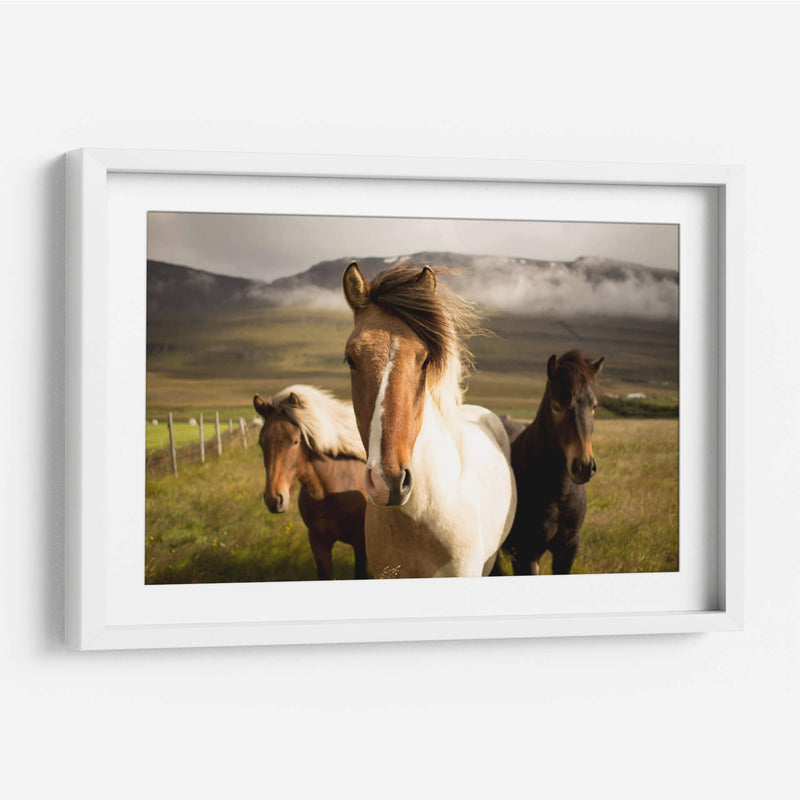 Los tres caballos | Cuadro decorativo de Canvas Lab
