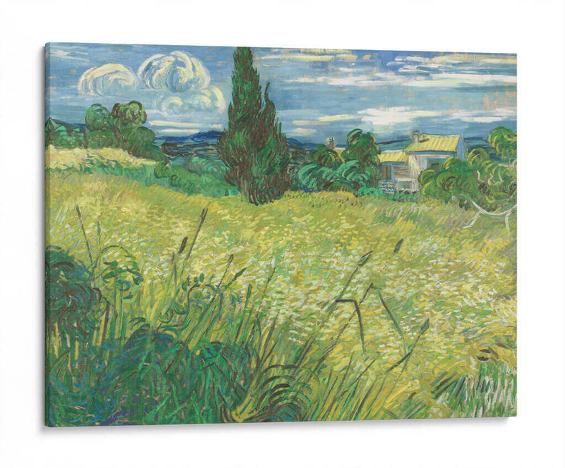 Trigal verde con ciprés - Vincent Van Gogh | Cuadro decorativo de Canvas Lab