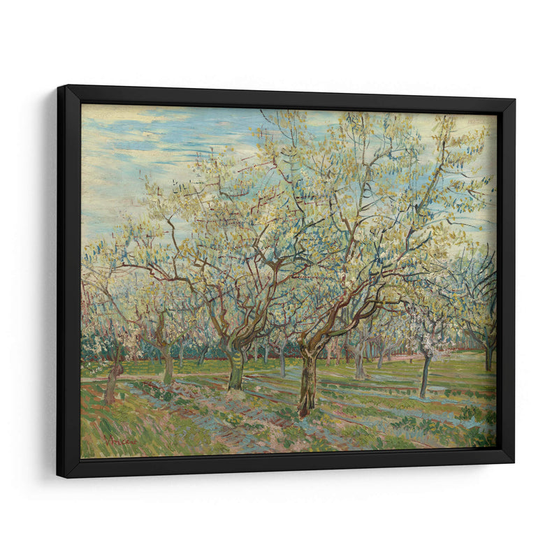 El huerto blanco - Vincent Van Gogh | Cuadro decorativo de Canvas Lab