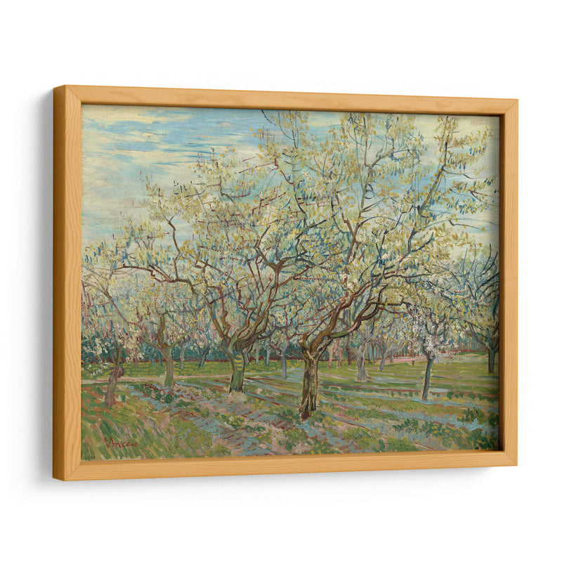 El huerto blanco - Vincent Van Gogh | Cuadro decorativo de Canvas Lab