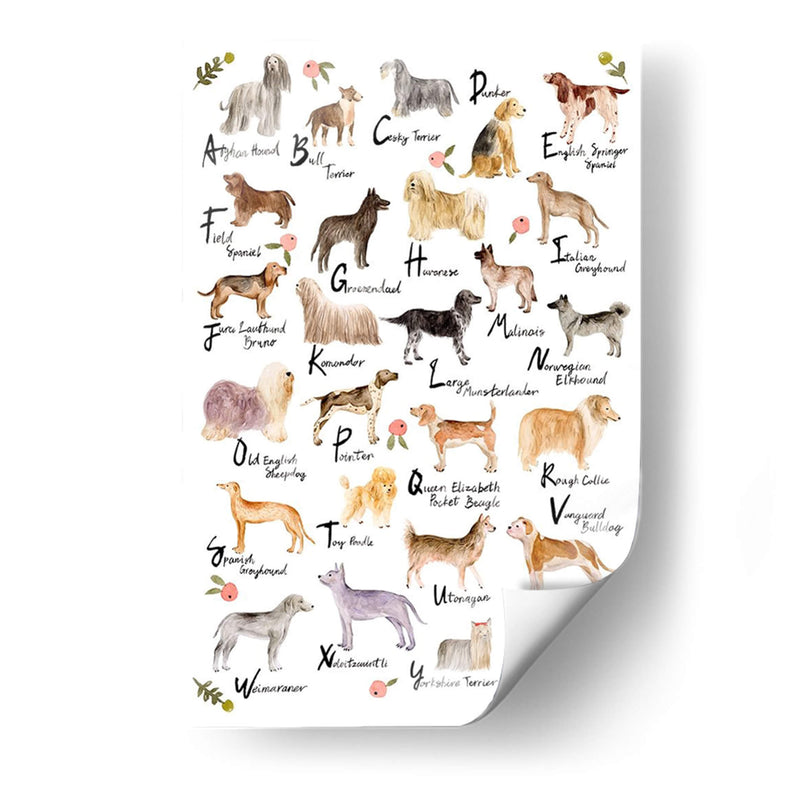 Alfabeto De Perro - Melissa Wang | Cuadro decorativo de Canvas Lab