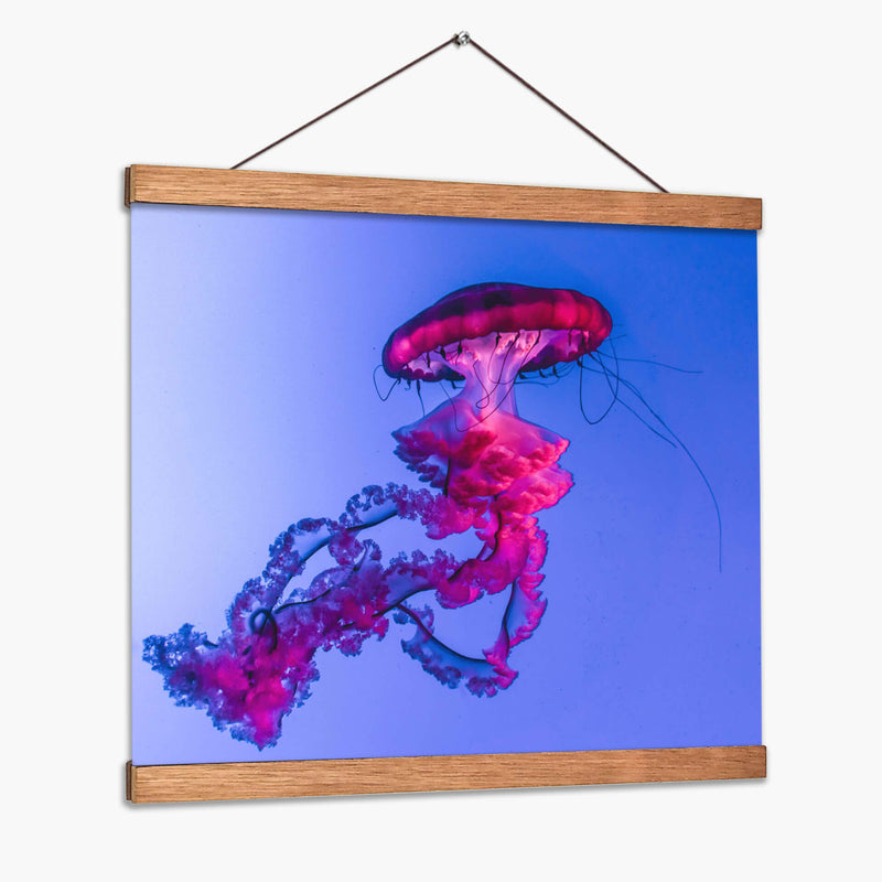 Medusa magenta | Cuadro decorativo de Canvas Lab