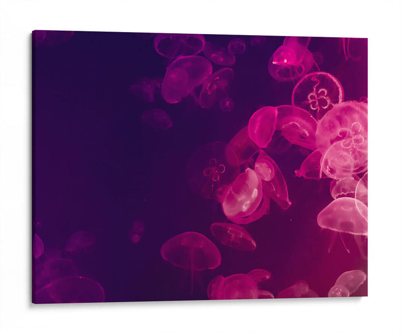 Medusas moradas | Cuadro decorativo de Canvas Lab