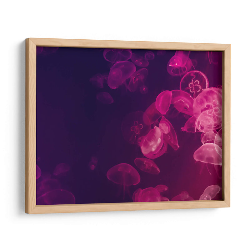 Medusas moradas | Cuadro decorativo de Canvas Lab