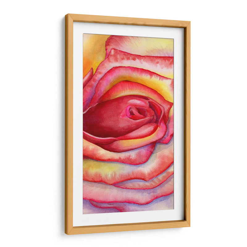 Acercamiento rosa | Cuadro decorativo de Canvas Lab