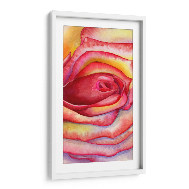 Acercamiento rosa | Cuadro decorativo de Canvas Lab
