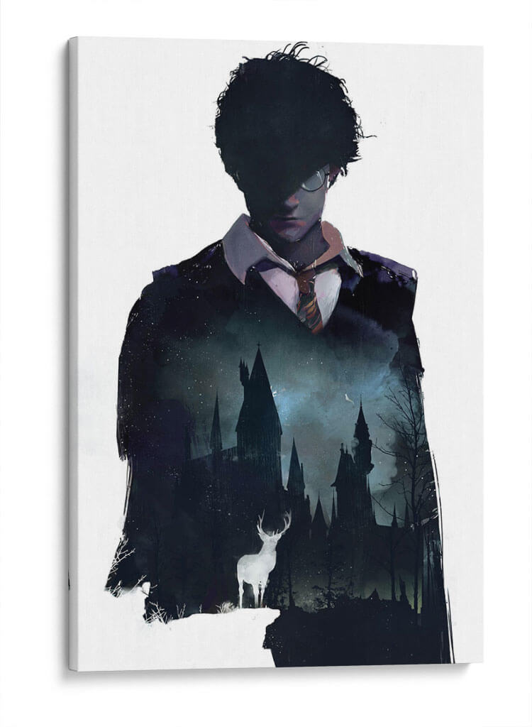 Harry en Hogwarts | Cuadro decorativo de Canvas Lab