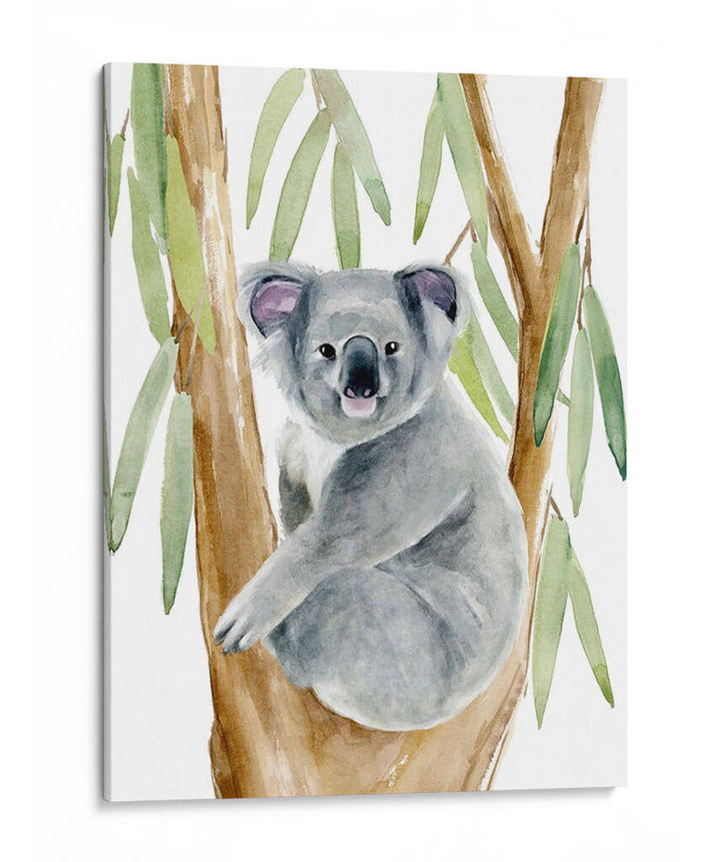 Woodland Koala Ii - Jacob Green | Cuadro decorativo de Canvas Lab