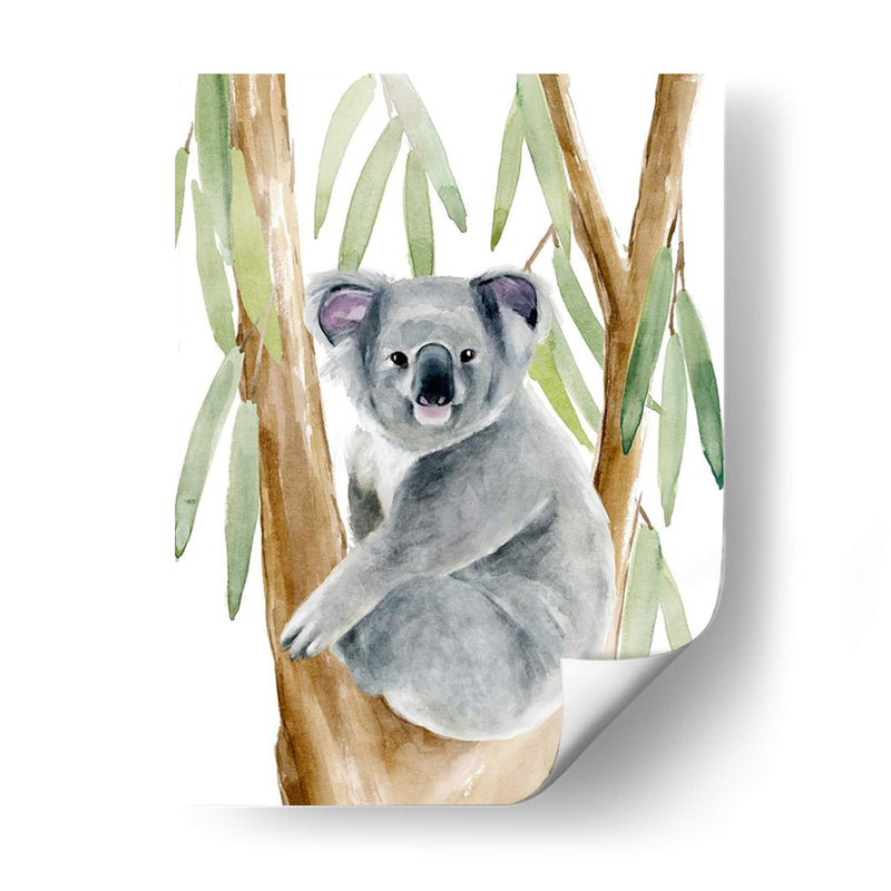 Woodland Koala Ii - Jacob Green | Cuadro decorativo de Canvas Lab
