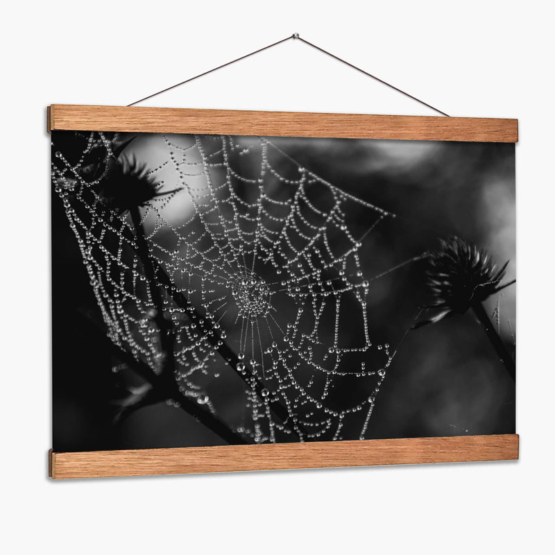 Spider Web - HCTR | Cuadro decorativo de Canvas Lab