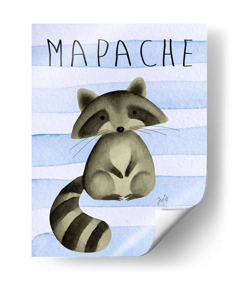 MAPACHE - Marce Islas | Cuadro decorativo de Canvas Lab