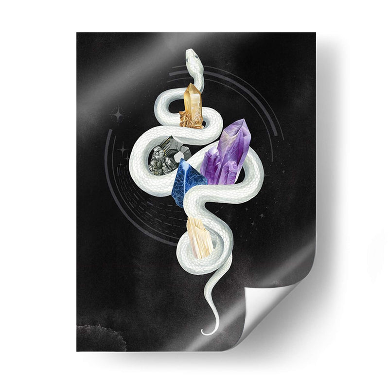 Serpiente Cristalina Ii - Grace Popp | Cuadro decorativo de Canvas Lab