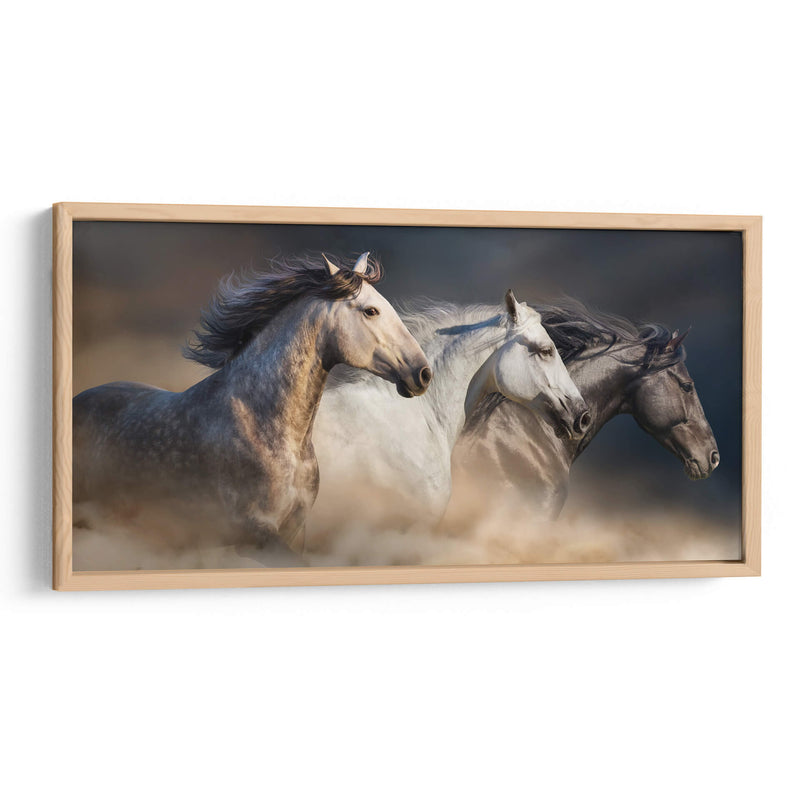 Tres caballos galopando | Cuadro decorativo de Canvas Lab