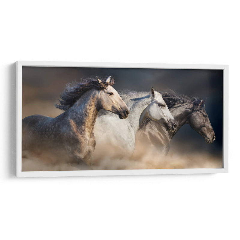 Tres caballos galopando | Cuadro decorativo de Canvas Lab