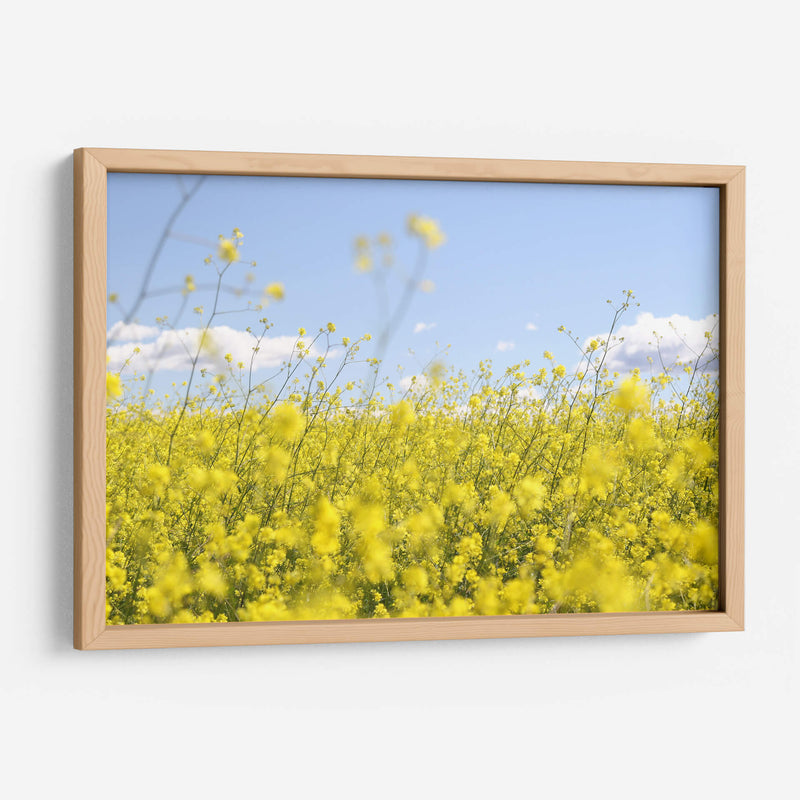 Alegría amarilla | Cuadro decorativo de Canvas Lab