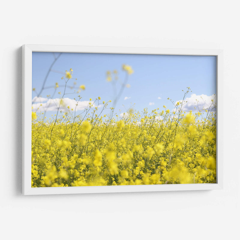 Alegría amarilla | Cuadro decorativo de Canvas Lab