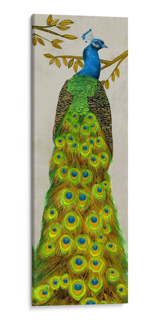 Vintage Peacock I - Melissa Wang | Cuadro decorativo de Canvas Lab