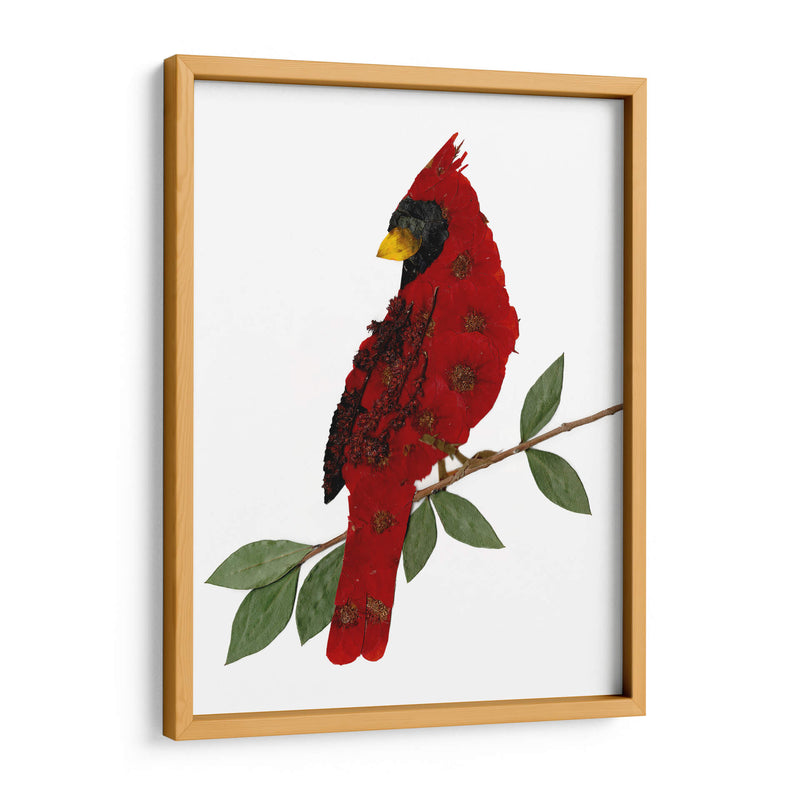 Cardinal - Designs by Andrea | Cuadro decorativo de Canvas Lab