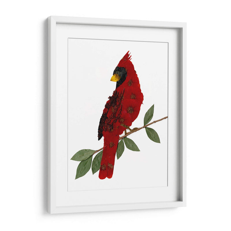 Cardinal - Designs by Andrea | Cuadro decorativo de Canvas Lab