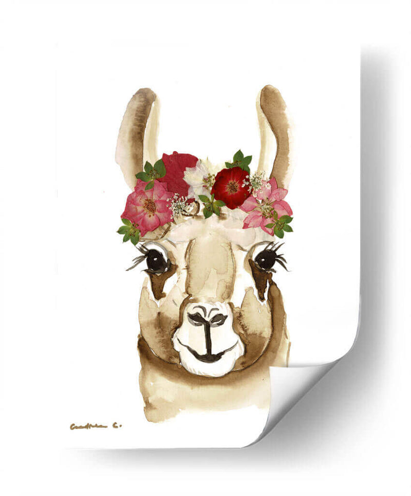 Llama - Designs by Andrea | Cuadro decorativo de Canvas Lab