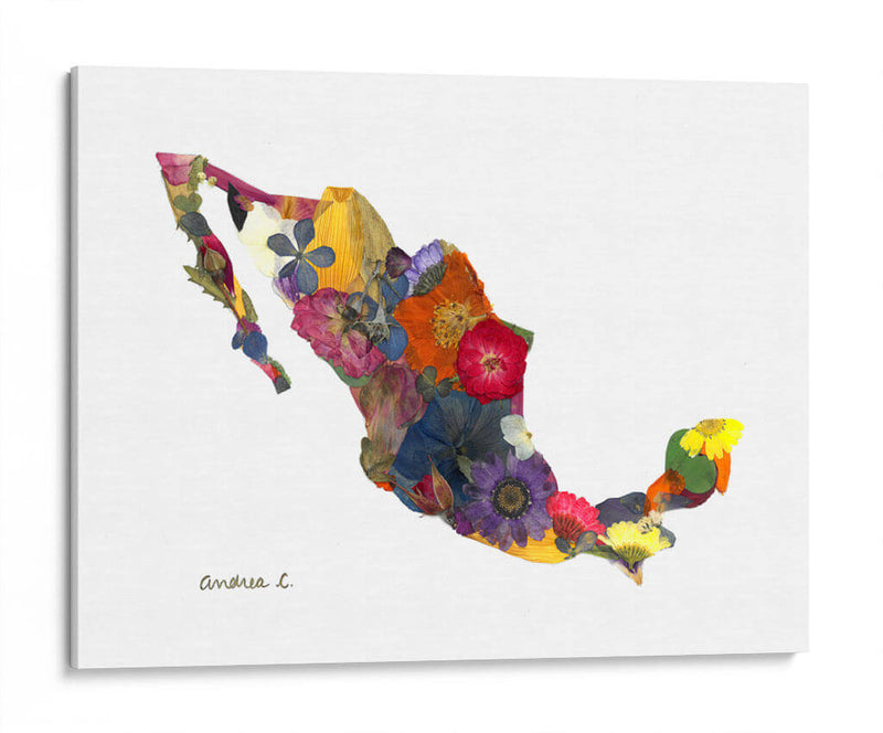 Mexico - Designs by Andrea | Cuadro decorativo de Canvas Lab