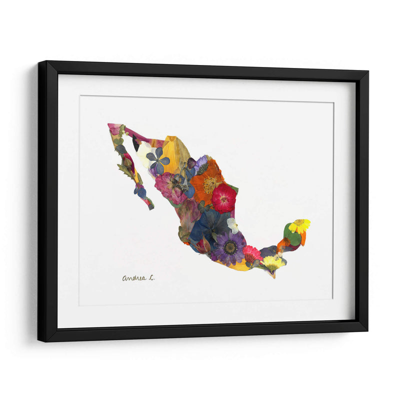 Mexico - Designs by Andrea | Cuadro decorativo de Canvas Lab