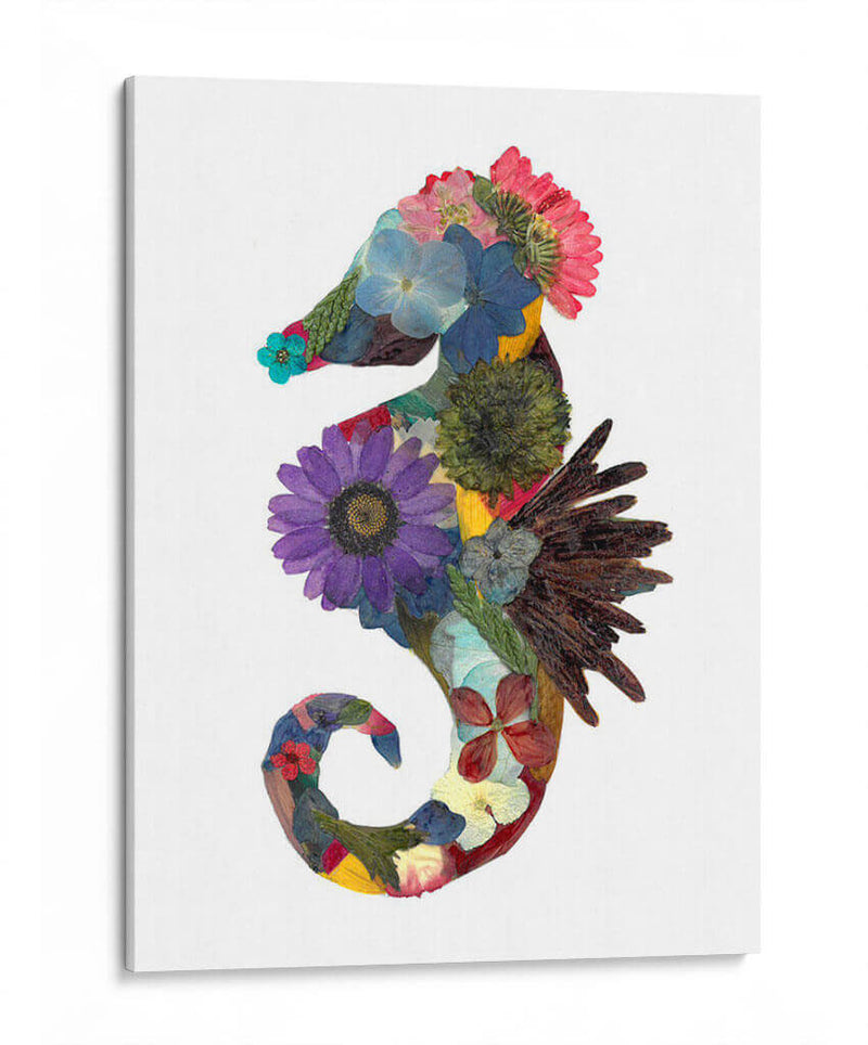 Seahorse - Designs by Andrea | Cuadro decorativo de Canvas Lab