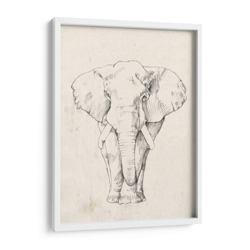 Retrato De Elefante I - Jennifer Goldberger | Cuadro decorativo de Canvas Lab