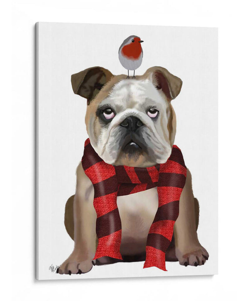 Bulldog Inglés, Bufanda Y Robin - Fab Funky | Cuadro decorativo de Canvas Lab