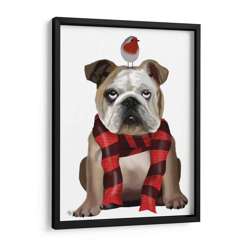 Bulldog Inglés, Bufanda Y Robin - Fab Funky | Cuadro decorativo de Canvas Lab