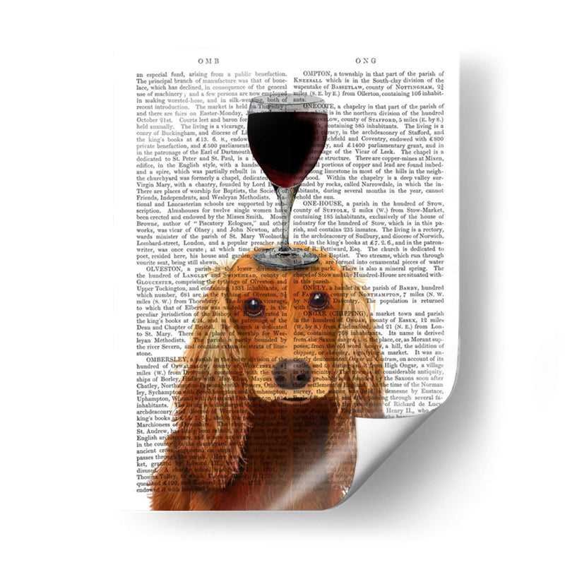 Perro Au Vin, Cocker Spaniel - Fab Funky | Cuadro decorativo de Canvas Lab