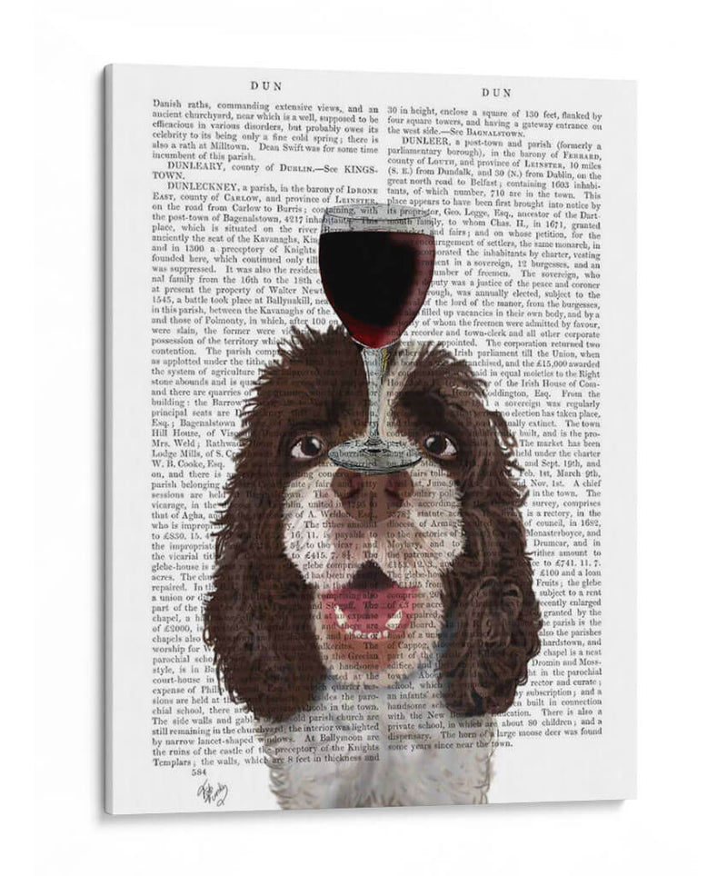 Perro Au Vin, Springer Spaniel - Fab Funky | Cuadro decorativo de Canvas Lab