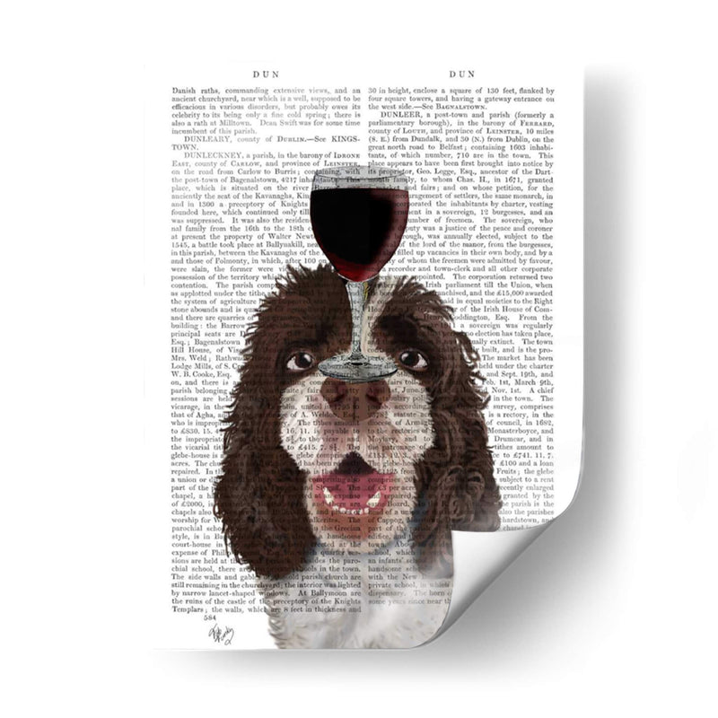 Perro Au Vin, Springer Spaniel - Fab Funky | Cuadro decorativo de Canvas Lab