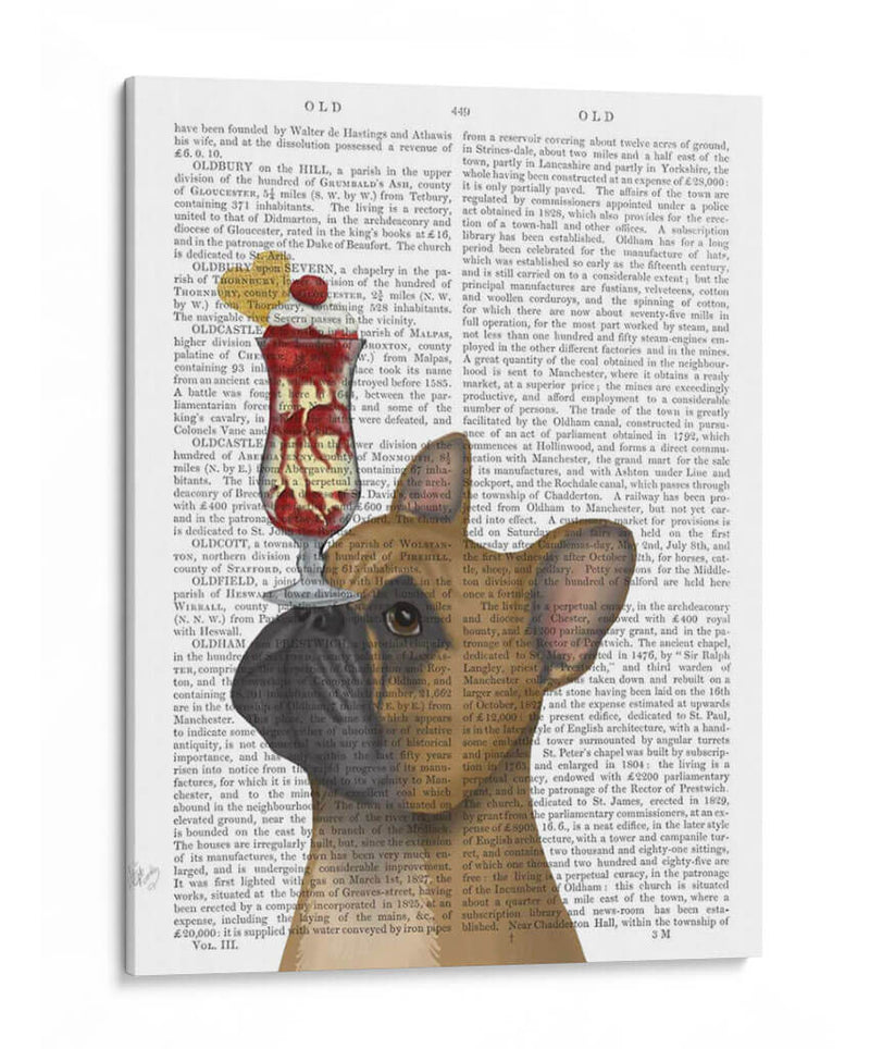 Helado De Bulldog Francés - Fab Funky | Cuadro decorativo de Canvas Lab