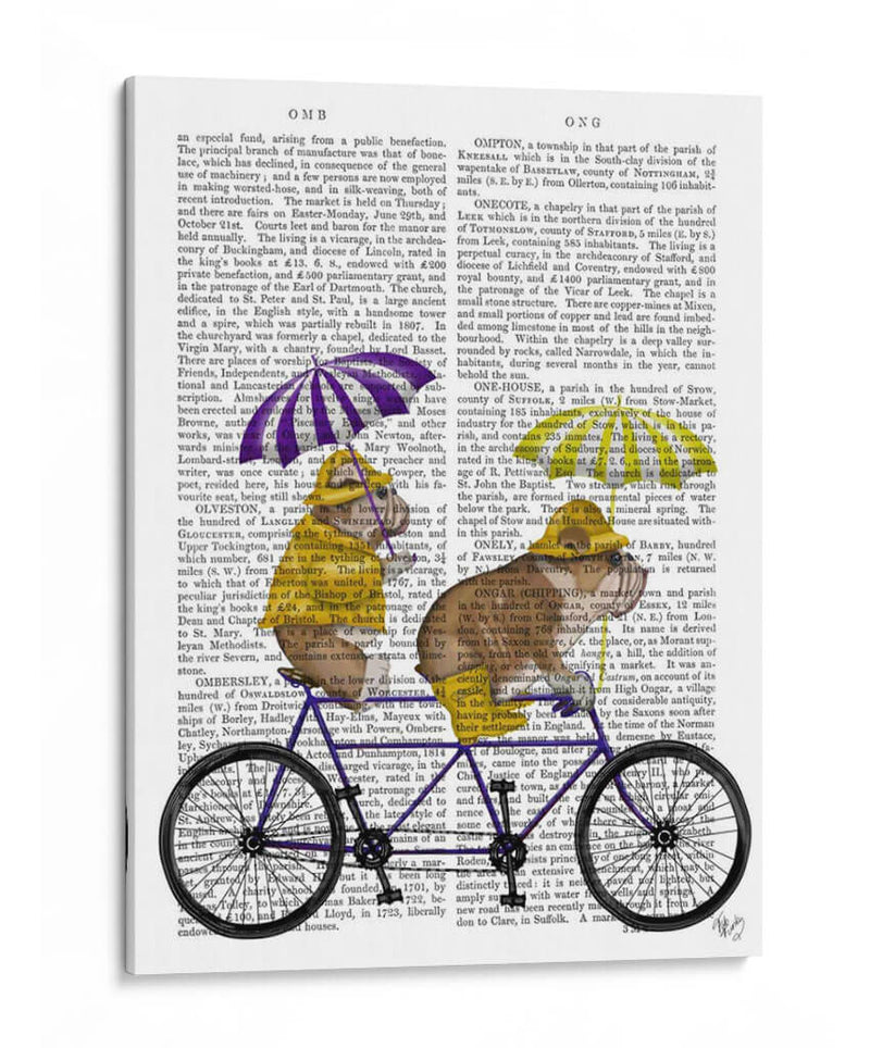 Bulldog Inglés Tandem - Fab Funky | Cuadro decorativo de Canvas Lab