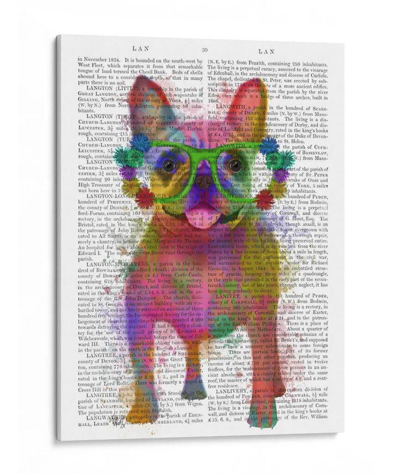 Bulldog Francés Splash Arco Iris, Lleno - Fab Funky | Cuadro decorativo de Canvas Lab